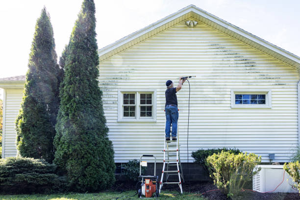 Best Fence Cleaning  in Arroyo Seco, NM